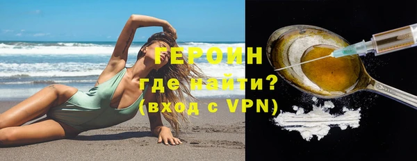 индика Надым