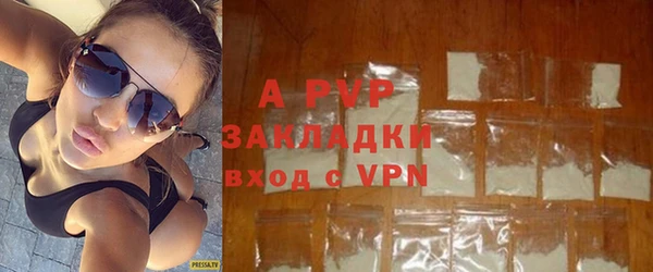спайс Вяземский