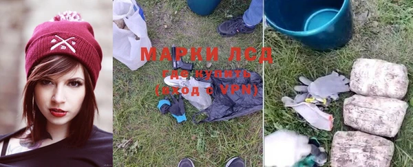 спайс Вяземский