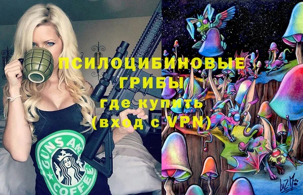 спиды Вязьма