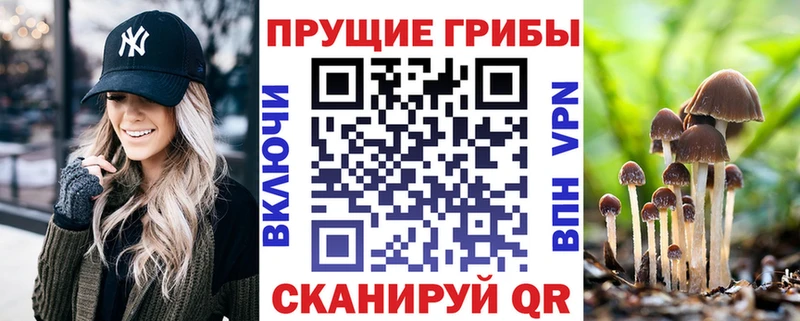 ссылка на мегу зеркало  Обоянь  Галлюциногенные грибы Cubensis 